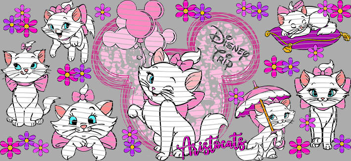 16oz Disney style-D-1215